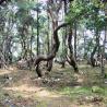 images/Schweden/Schweden 2009/IMG_4483.jpg